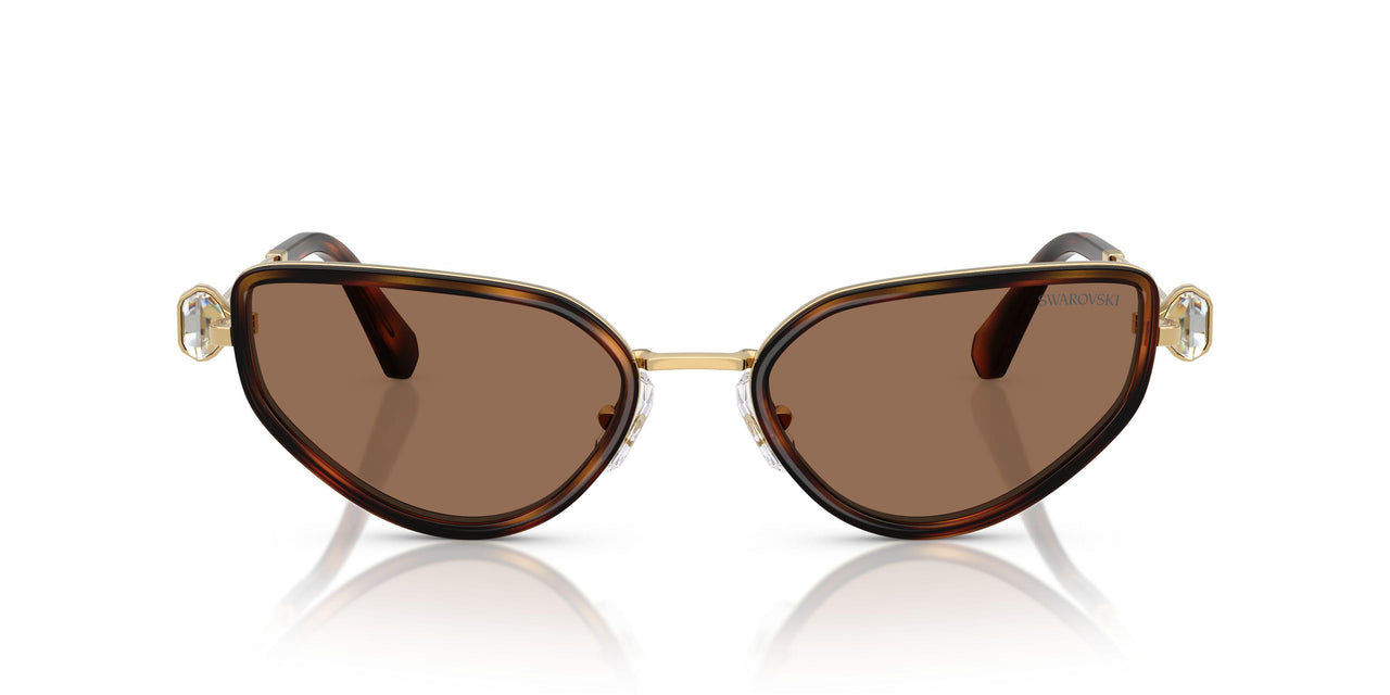 400473 - Gold - Dark Brown
