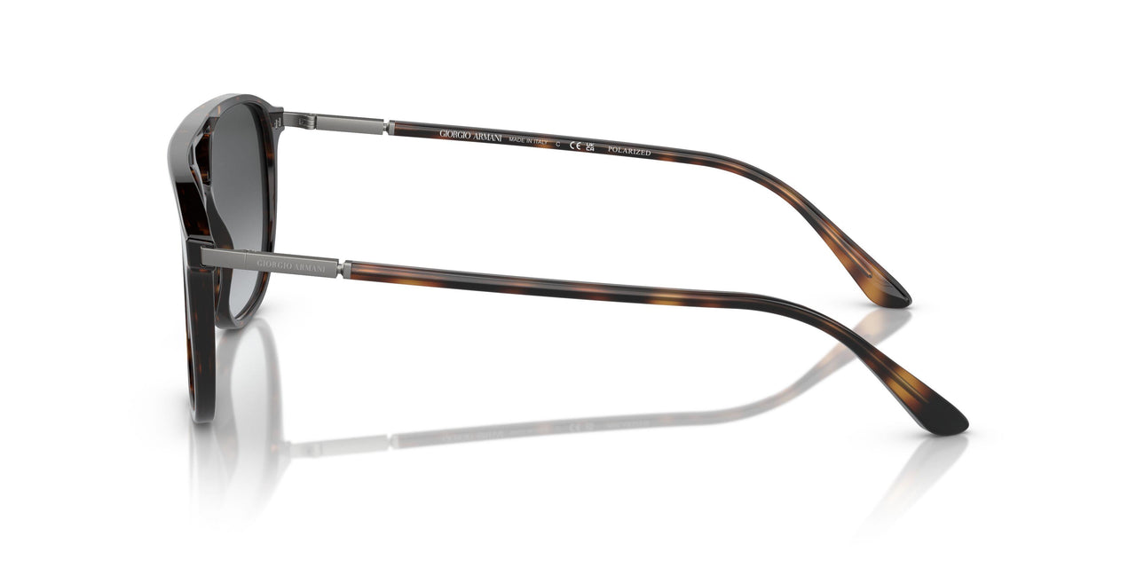 5026T3 - Tortoise - Gradient Grey