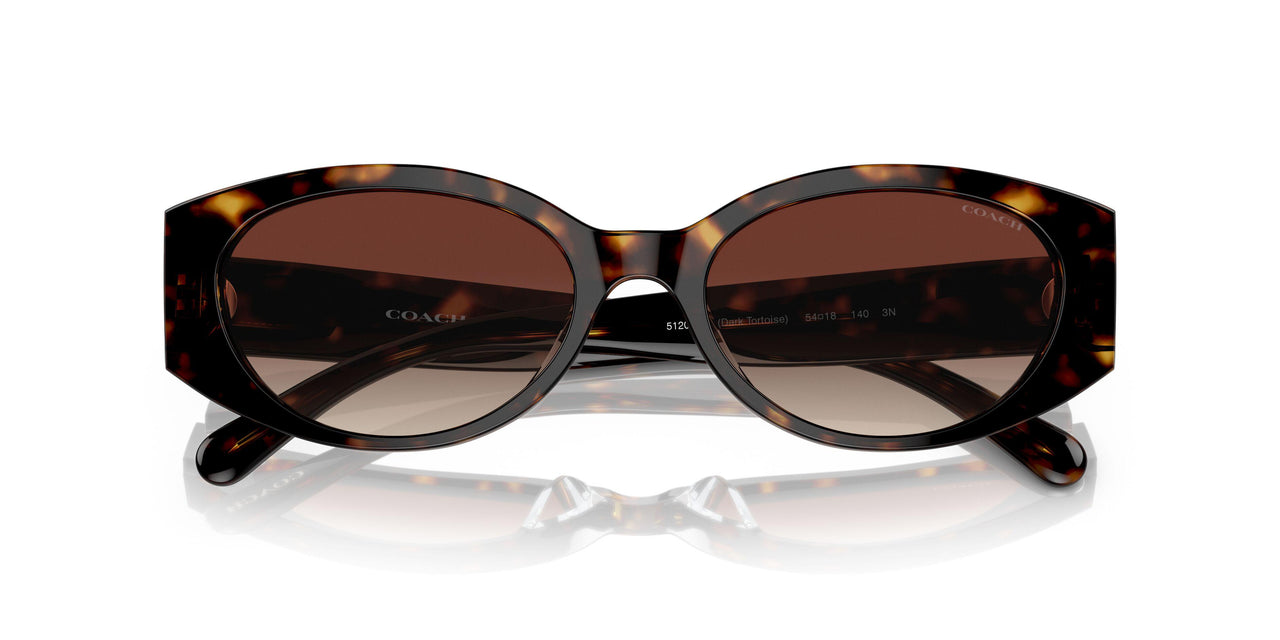 512013 - Havana - Dark Brown Gradient