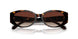 512013 - Havana - Dark Brown Gradient