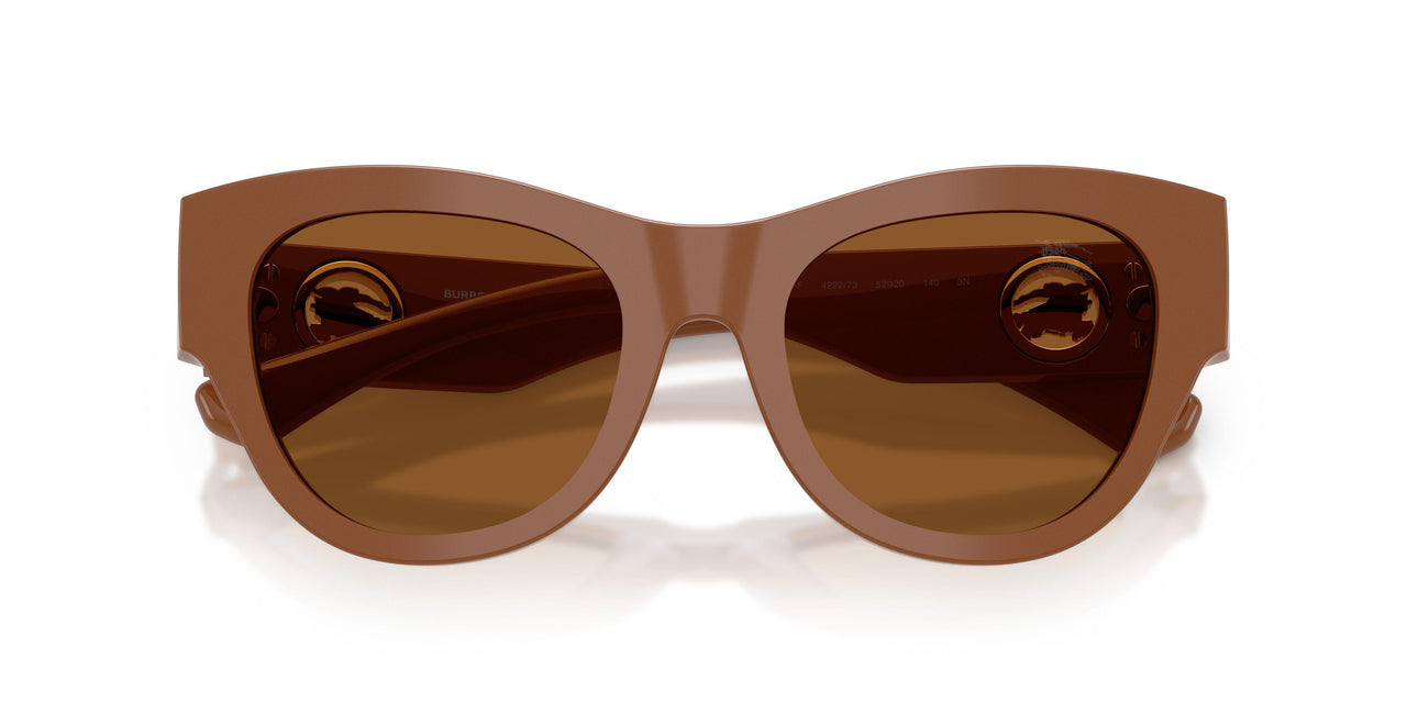 422273 - Brown - Dark Brown