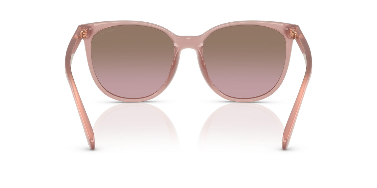 583914 - Pink - Brown Rose Gradient