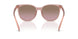 583914 - Pink - Brown Rose Gradient
