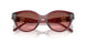 317511 - Brown - Brown Rose Gradient