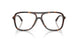 5002 - Tortoise