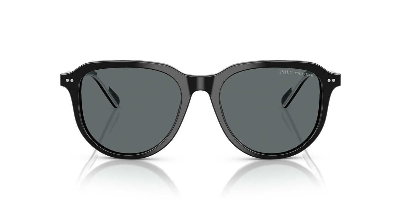500181 - Black - Polar Dark Grey