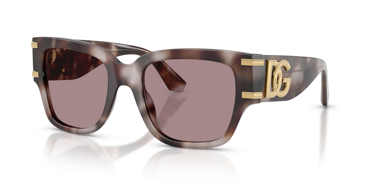 Dolce & Gabbana 4563 Sunglasses
