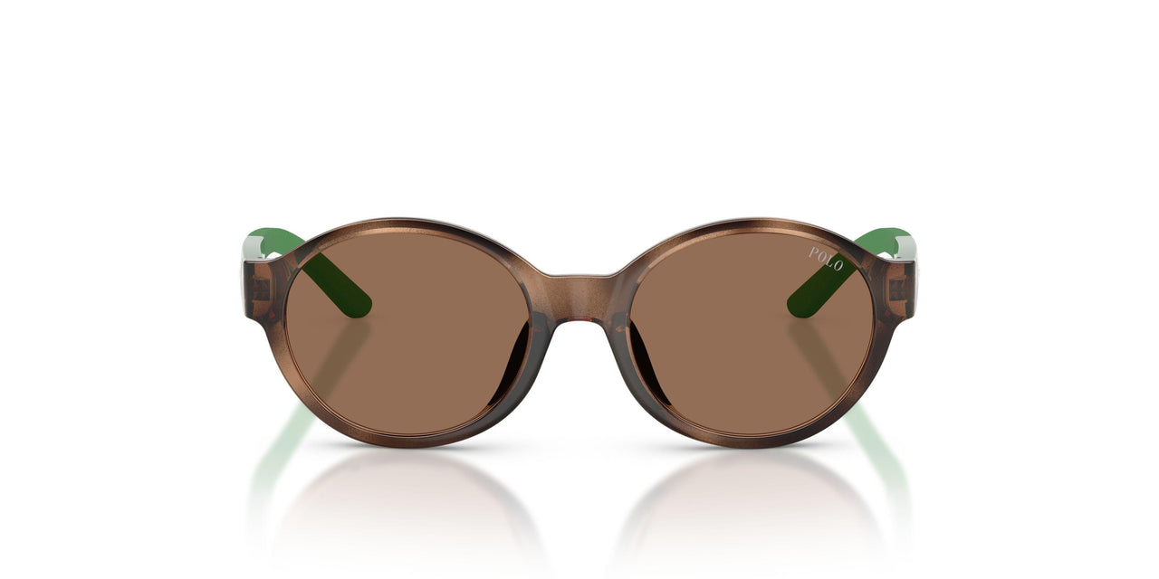 597473 - Tortoise - Dark Brown