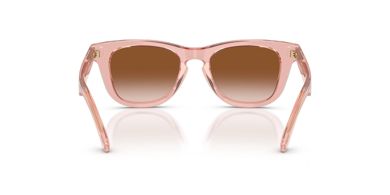 421413 - Pink - Brown Gradient