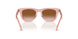 421413 - Pink - Brown Gradient