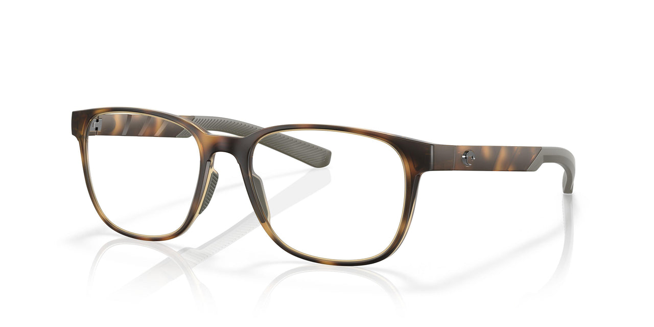 802202 - Tortoise