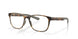 802202 - Tortoise