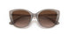 824013 - Brown - Gradient Brown