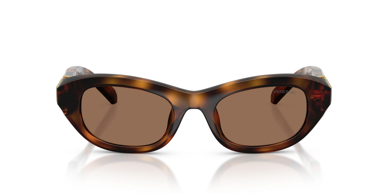 100273 - Tortoise - Dark Brown