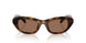 100273 - Tortoise - Dark Brown
