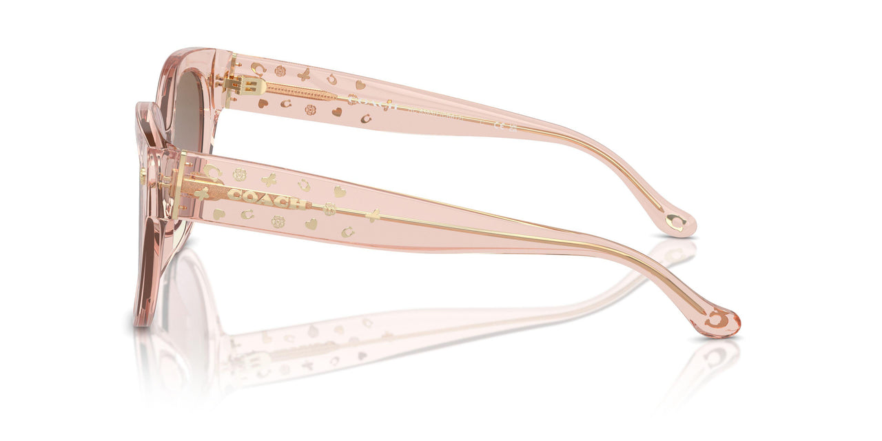 566814 - Pink - Brown Pink Gradient