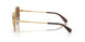 400473 - Gold - Dark Brown