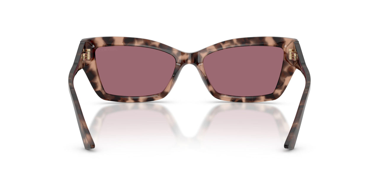 50701A - Tortoise - Violet