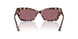 50701A - Tortoise - Violet