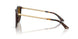 500283 - Tortoise - Dark Brown Polar