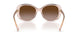 600913 - Pink - Gradient Brown