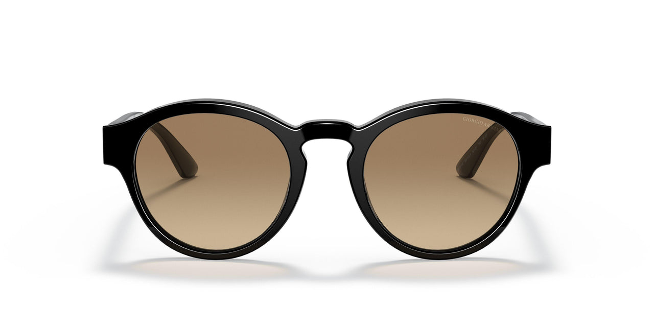 5875Q4 - Black - Clear Gradient Brown Photo