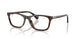 5003 - Tortoise