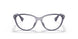 6005 - Violet