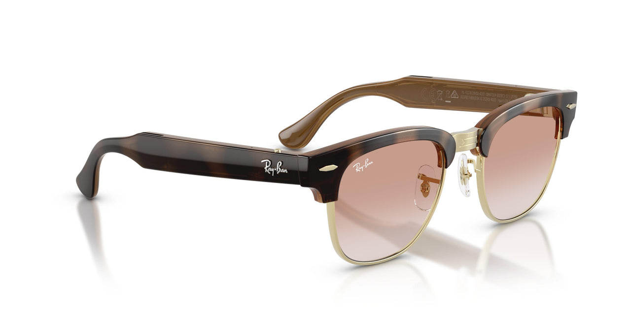 692813 - Tortoise - Gradient Brown