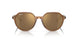 663693 - Brown - Brown Mirror Gold