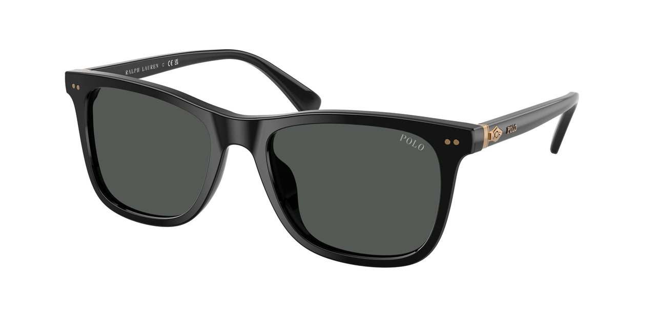 Polo 4220F Sunglasses