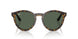 6790VR - Tortoise - Dark Green