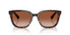 300213 - Brown - Brown Gradient