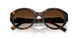 80153B - Tortoise - Brown Gradient