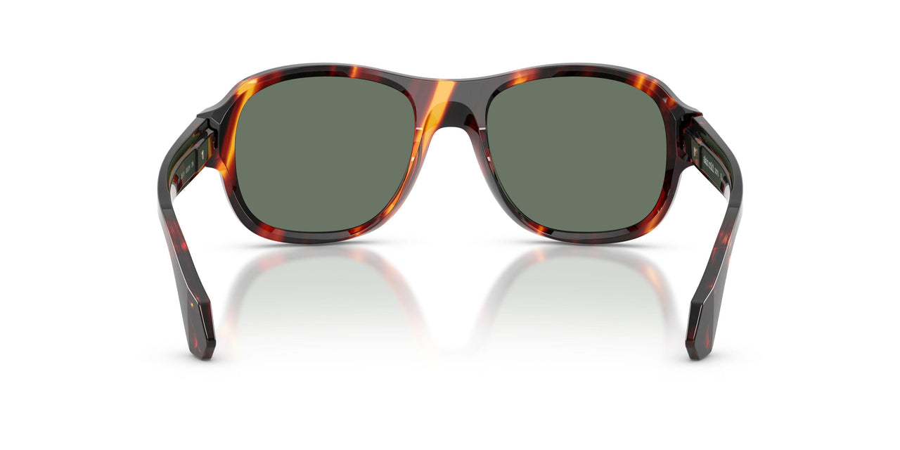 003/3H - Tortoise - Green