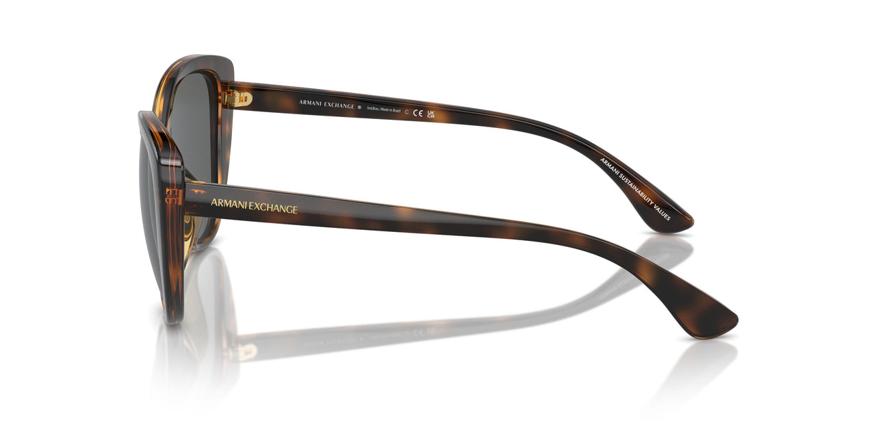 821387 - Tortoise - Dark Grey