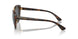 821387 - Tortoise - Dark Grey