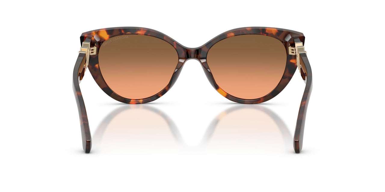 403118 - Tortoise - Grey Orange Gradient