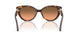 403118 - Tortoise - Grey Orange Gradient