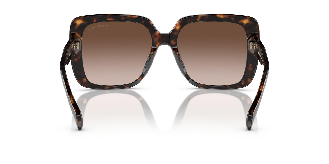 300613 - Tortoise - Brown Gradient