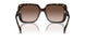 300613 - Tortoise - Brown Gradient