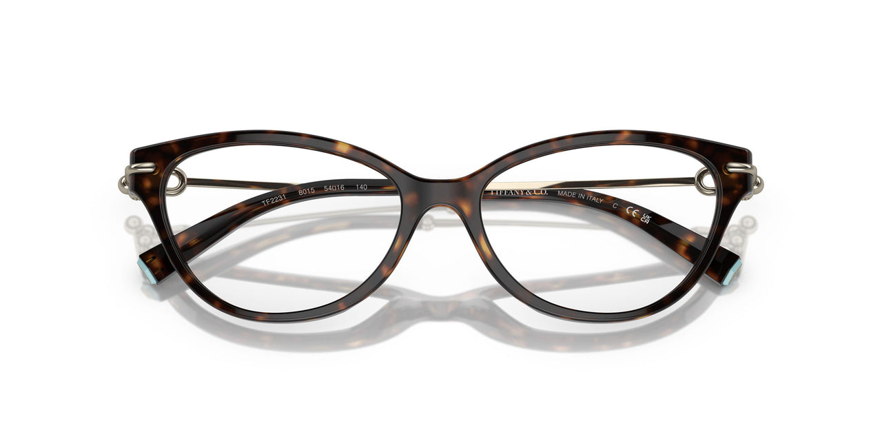 8015 - Tortoise