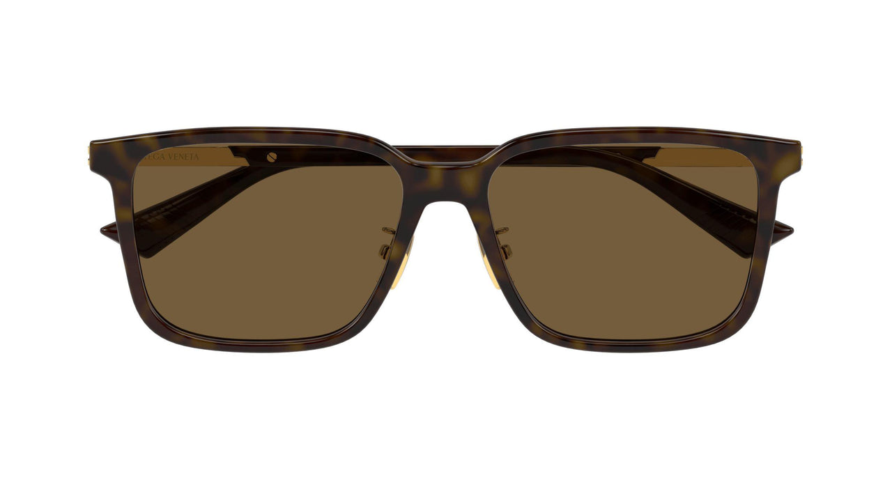 006 - Havana/Gold - Brown