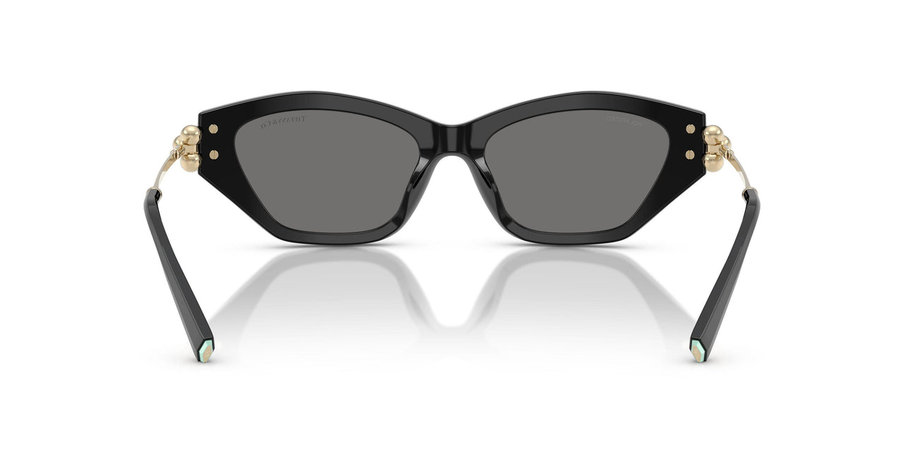 800181 - Black - Dark Grey Polar