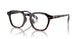 5003 - Tortoise