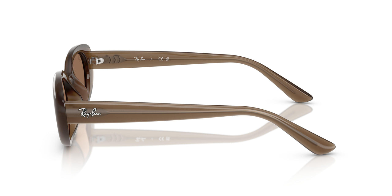 677973 - Brown - Dark Brown