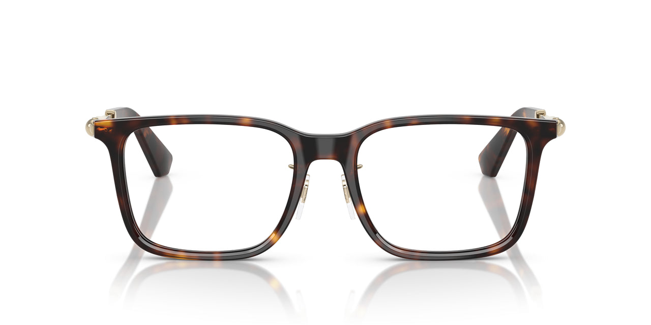 3002 - Brown