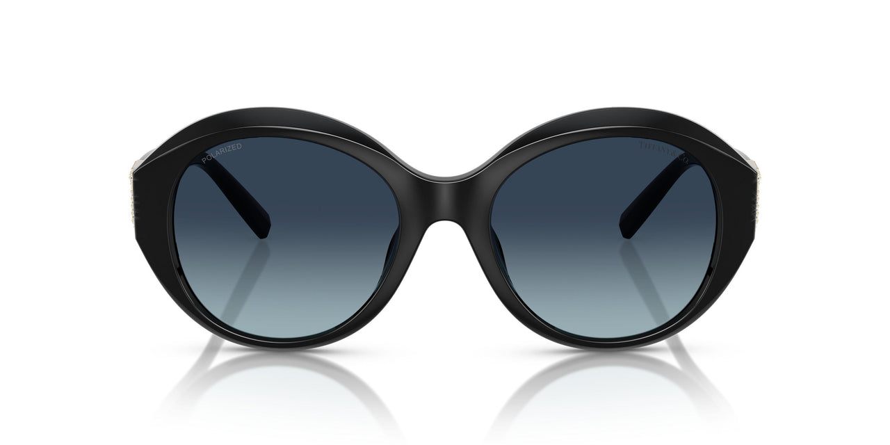 80014U - Black - Blue Gradient Polar