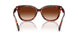 593874 - Tortoise - Brown Gradient