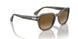 1103M2 - Grey - Brown Gradient Polar